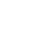 ico29 ico29